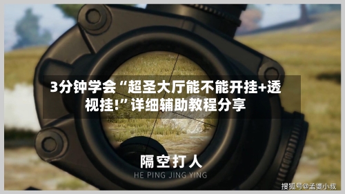 3分钟学会“超圣大厅能不能开挂+透视挂!”详细辅助教程分享-第3张图片
