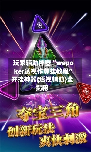 玩家辅助神器“wepoker透视作弊挂教程”开挂神器{透视辅助}全揭秘-第3张图片