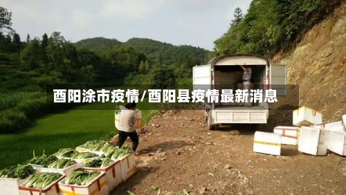 酉阳涂市疫情/酉阳县疫情最新消息-第2张图片