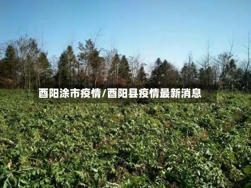 酉阳涂市疫情/酉阳县疫情最新消息-第3张图片