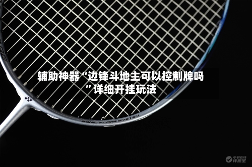 辅助神器“边锋斗地主可以控制牌吗”详细开挂玩法-第1张图片