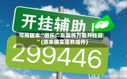 可用版本“微乐广东麻将万能开挂器	”(原来确实是有插件)-第1张图片