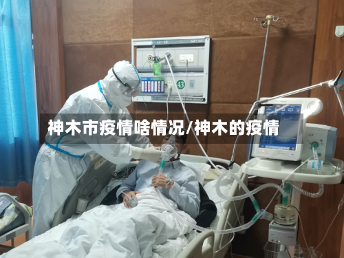 神木市疫情啥情况/神木的疫情-第2张图片