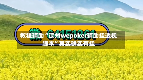 教程辅助“德州wepoker辅助挂透视脚本”其实确实有挂-第1张图片