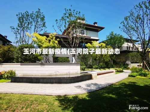 玉河市最新疫情(玉河院子最新动态)-第1张图片