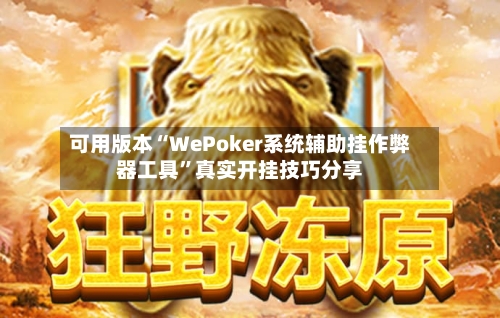 可用版本“WePoker系统辅助挂作弊器工具”真实开挂技巧分享-第1张图片