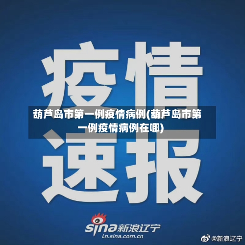 葫芦岛市第一例疫情病例(葫芦岛市第一例疫情病例在哪)-第2张图片