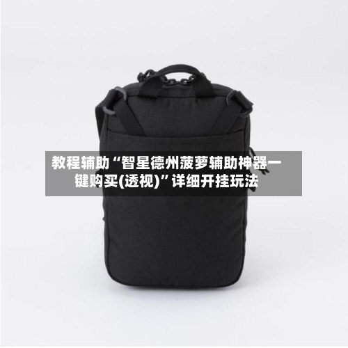 教程辅助“智星德州菠萝辅助神器一键购买(透视)”详细开挂玩法-第2张图片