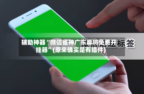 辅助神器“微信雀神广东麻将免费开挂器”(原来确实是有插件)-第3张图片