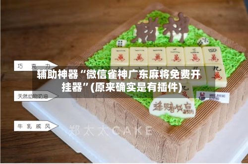 辅助神器“微信雀神广东麻将免费开挂器”(原来确实是有插件)-第2张图片