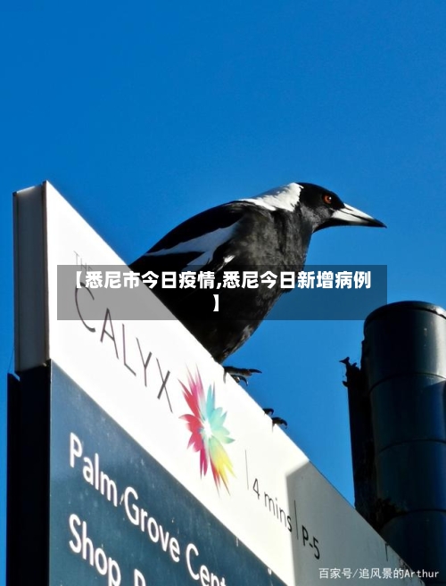 【悉尼市今日疫情,悉尼今日新增病例】-第2张图片