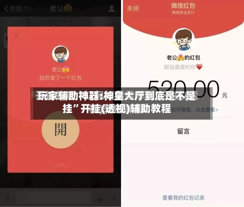 玩家辅助神器:神皇大厅到底是不是挂”开挂(透视)辅助教程-第3张图片