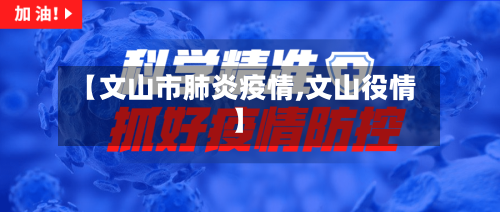 【文山市肺炎疫情,文山役情】-第3张图片