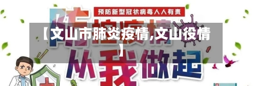 【文山市肺炎疫情,文山役情】-第2张图片