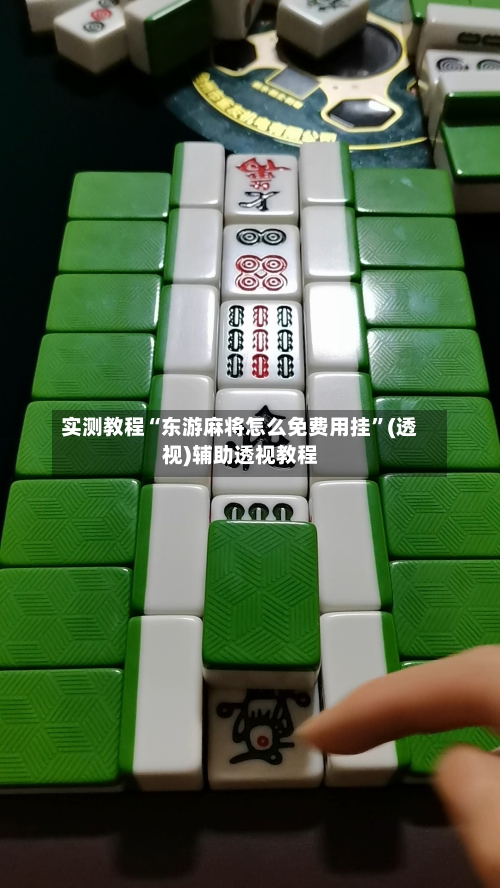 实测教程“东游麻将怎么免费用挂”(透视)辅助透视教程-第2张图片