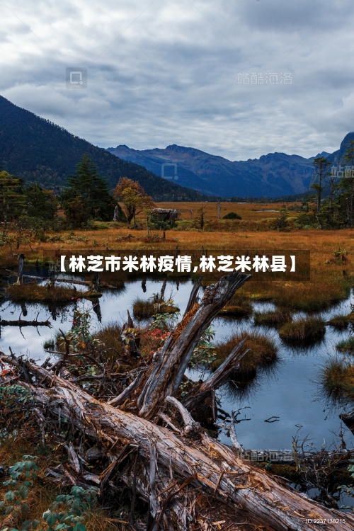【林芝市米林疫情,林芝米林县】-第2张图片