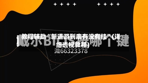 教程辅助“新道游到底有没有挂	”(详细透视教程)-第1张图片