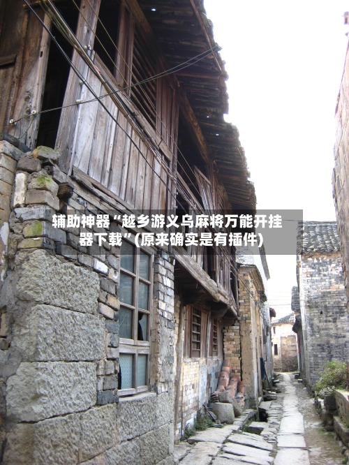辅助神器“越乡游义乌麻将万能开挂器下载	”(原来确实是有插件)-第1张图片