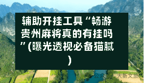 辅助开挂工具“畅游贵州麻将真的有挂吗”(曝光透视必备猫腻)-第3张图片