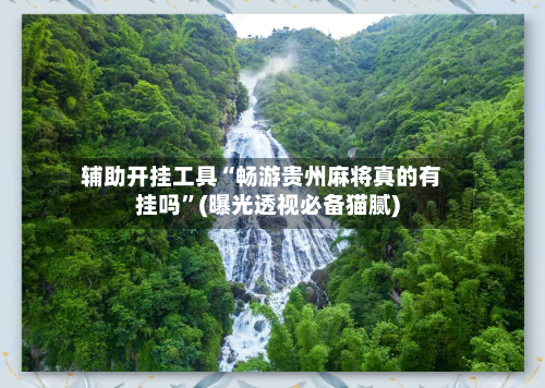 辅助开挂工具“畅游贵州麻将真的有挂吗	”(曝光透视必备猫腻)-第2张图片