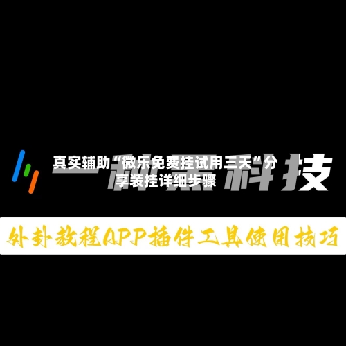 真实辅助“微乐免费挂试用三天	”分享装挂详细步骤-第2张图片