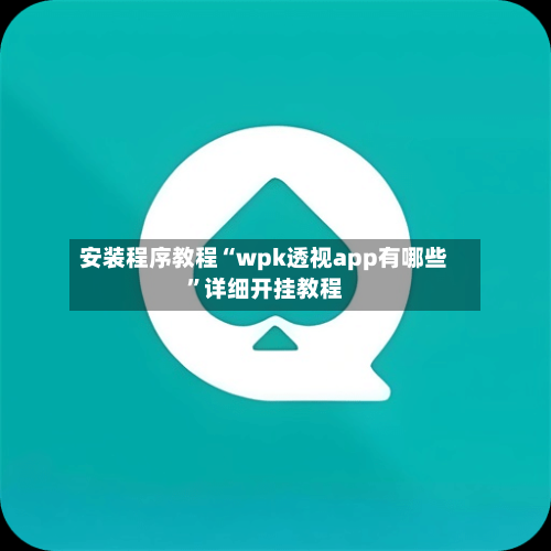 安装程序教程“wpk透视app有哪些”详细开挂教程-第2张图片