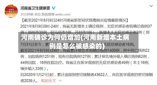 河南确诊为何仍增加(河南新增本土病例是怎么被感染的)-第3张图片