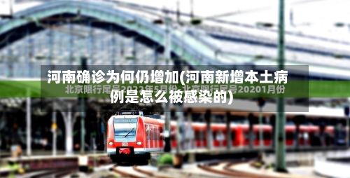 河南确诊为何仍增加(河南新增本土病例是怎么被感染的)-第1张图片