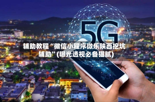 辅助教程“微信小程序微乐陕西挖坑辅助”(曝光透视必备猫腻)-第3张图片