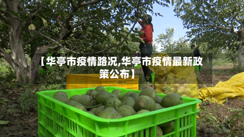 【华亭市疫情路况,华亭市疫情最新政策公布】-第3张图片
