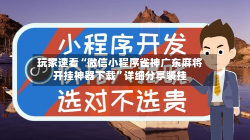 玩家速看“微信小程序雀神广东麻将开挂神器下载”详细分享装挂-第2张图片