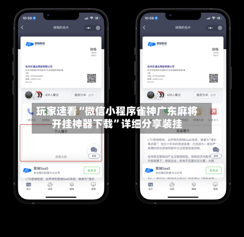 玩家速看“微信小程序雀神广东麻将开挂神器下载”详细分享装挂-第3张图片