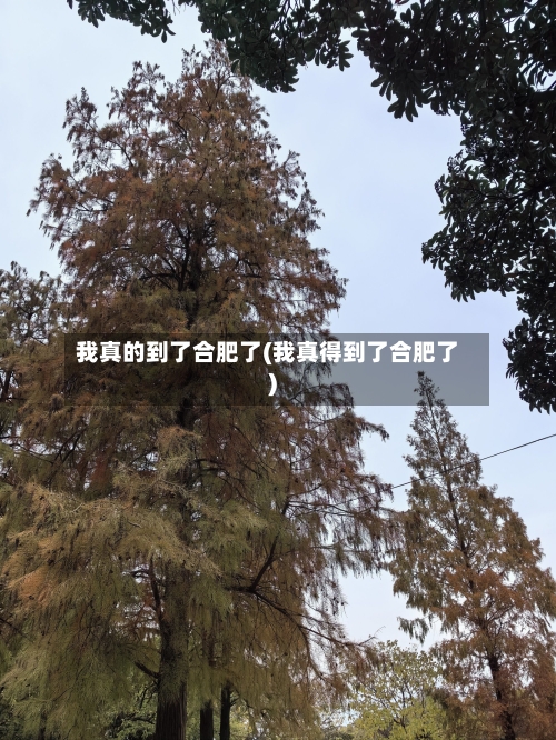 我真的到了合肥了(我真得到了合肥了)-第1张图片
