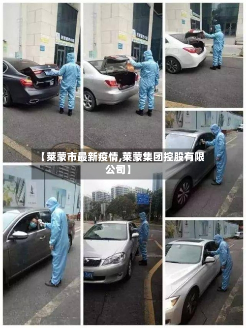【莱蒙市最新疫情,莱蒙集团控股有限公司】-第2张图片