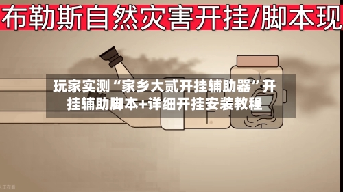 玩家实测“家乡大贰开挂辅助器	”开挂辅助脚本+详细开挂安装教程-第2张图片