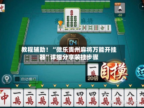 教程辅助！“微乐贵州麻将万能开挂器”详细分享装挂步骤-第3张图片