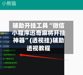 辅助开挂工具“微信小程序迅奇麻将开挂神器”(透视挂)辅助透视教程-第3张图片