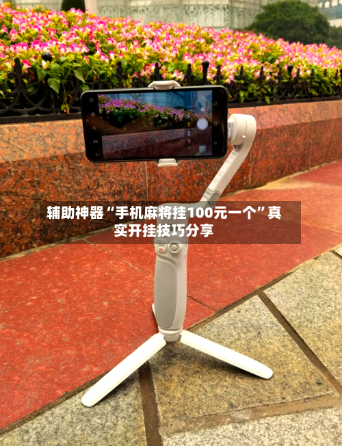 辅助神器“手机麻将挂100元一个”真实开挂技巧分享-第1张图片