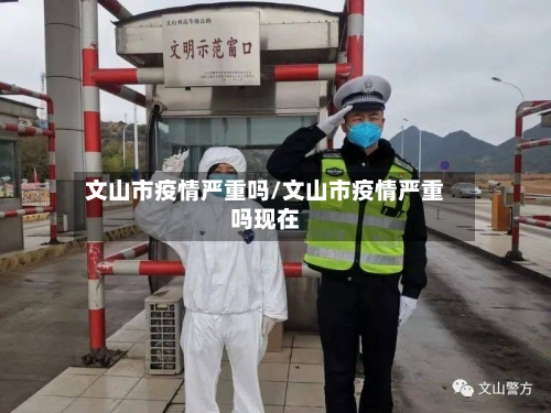 文山市疫情严重吗/文山市疫情严重吗现在-第2张图片