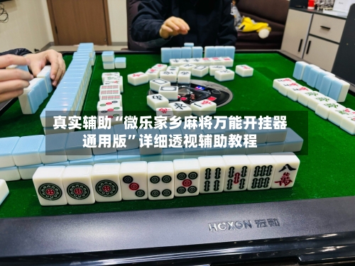 真实辅助“微乐家乡麻将万能开挂器通用版”详细透视辅助教程-第2张图片