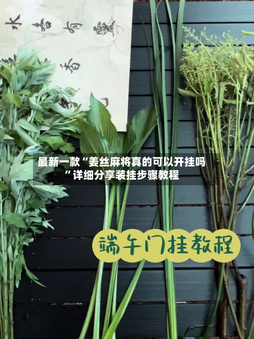最新一款“姜丝麻将真的可以开挂吗	”详细分享装挂步骤教程-第1张图片