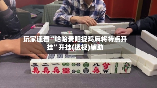 玩家速看“哈哈贵阳捉鸡麻将特点开挂”开挂(透视)辅助-第1张图片