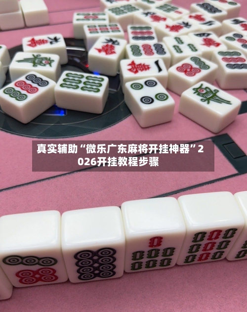 真实辅助“微乐广东麻将开挂神器”2026开挂教程步骤-第2张图片