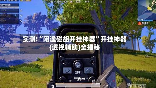 实测!“闲逸碰胡开挂神器”开挂神器{透视辅助}全揭秘-第2张图片