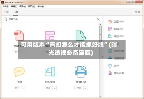 可用版本“喜扣怎么才能抓好牌”(曝光透视必备猫腻)-第2张图片