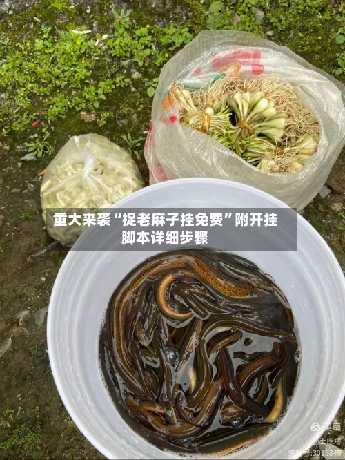重大来袭“捉老麻子挂免费”附开挂脚本详细步骤-第1张图片