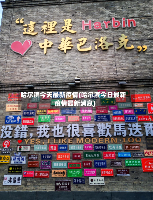 哈尔滨今天最新疫情(哈尔滨今日最新疫情最新消息)-第3张图片