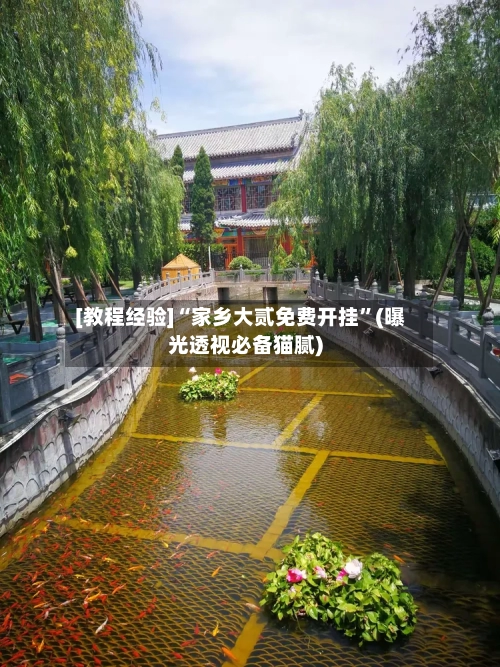 [教程经验]“家乡大贰免费开挂”(曝光透视必备猫腻)-第2张图片