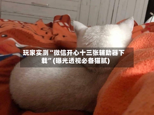 玩家实测“微信开心十三张辅助器下载”(曝光透视必备猫腻)-第1张图片