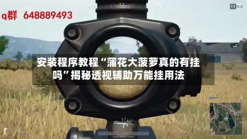 安装程序教程“蒲花大菠萝真的有挂吗	”揭秘透视辅助万能挂用法-第1张图片